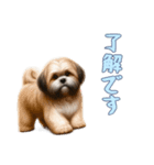 [了解です専用]ラサアプソ（個別スタンプ：2）