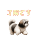 [了解です専用]ラサアプソ（個別スタンプ：3）