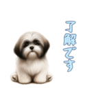 [了解です専用]ラサアプソ（個別スタンプ：6）