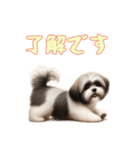[了解です専用]ラサアプソ（個別スタンプ：8）