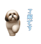 [了解です専用]ラサアプソ（個別スタンプ：9）