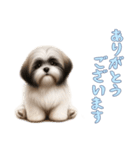 [ありがとうございます専用]ラサアプソ（個別スタンプ：1）