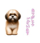 [ありがとうございます専用]ラサアプソ（個別スタンプ：2）