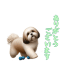 [ありがとうございます専用]ラサアプソ（個別スタンプ：7）