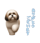 [ありがとうございます専用]ラサアプソ（個別スタンプ：16）