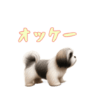 [オッケー専用]ラサアプソ（個別スタンプ：1）