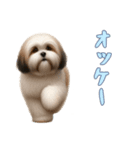 [オッケー専用]ラサアプソ（個別スタンプ：2）