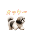 [オッケー専用]ラサアプソ（個別スタンプ：5）