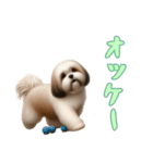 [オッケー専用]ラサアプソ（個別スタンプ：15）