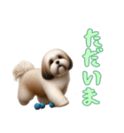 [ただいま専用]ラサアプソ（個別スタンプ：4）