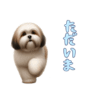 [ただいま専用]ラサアプソ（個別スタンプ：9）