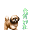 [ただいま専用]ラサアプソ（個別スタンプ：15）