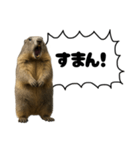 遅刻常習犯の言い訳図鑑（個別スタンプ：4）