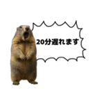 遅刻常習犯の言い訳図鑑（個別スタンプ：9）