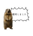 遅刻常習犯の言い訳図鑑（個別スタンプ：12）