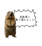 遅刻常習犯の言い訳図鑑（個別スタンプ：16）