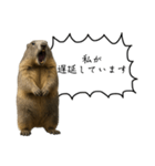 遅刻常習犯の言い訳図鑑（個別スタンプ：18）