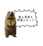 遅刻常習犯の言い訳図鑑（個別スタンプ：21）
