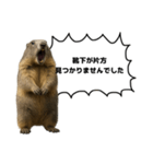 遅刻常習犯の言い訳図鑑（個別スタンプ：29）