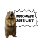遅刻常習犯の言い訳図鑑（個別スタンプ：31）