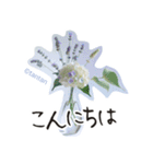 一年中使える 花と暮らし 便利な毎日（個別スタンプ：2）