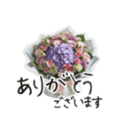 一年中使える 花と暮らし 便利な毎日（個別スタンプ：13）