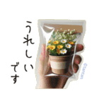 一年中使える 花と暮らし 便利な毎日（個別スタンプ：26）