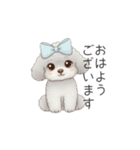 トイプードル（子育て中に使いやすい敬語）（個別スタンプ：1）