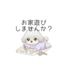トイプードル（子育て中に使いやすい敬語）（個別スタンプ：8）