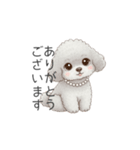 トイプードル（子育て中に使いやすい敬語）（個別スタンプ：9）