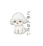 トイプードル（子育て中に使いやすい敬語）（個別スタンプ：12）