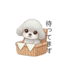 トイプードル（子育て中に使いやすい敬語）（個別スタンプ：14）