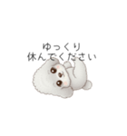 トイプードル（子育て中に使いやすい敬語）（個別スタンプ：15）