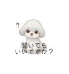 トイプードル（子育て中に使いやすい敬語）（個別スタンプ：19）