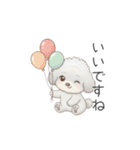 トイプードル（子育て中に使いやすい敬語）（個別スタンプ：20）