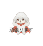 トイプードル（子育て中に使いやすい敬語）（個別スタンプ：22）
