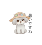 トイプードル（子育て中に使いやすい敬語）（個別スタンプ：28）