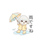 トイプードル（子育て中に使いやすい敬語）（個別スタンプ：30）