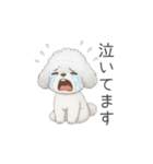 トイプードル（子育て中に使いやすい敬語）（個別スタンプ：32）