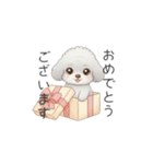 トイプードル（子育て中に使いやすい敬語）（個別スタンプ：34）
