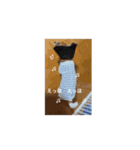 保護犬ジャックヨーキー（個別スタンプ：7）