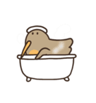 アメリカヤマシギは踊る。（個別スタンプ：11）