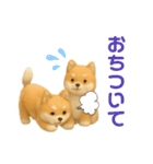ふわふわ かわいい 柴犬 日常（個別スタンプ：16）