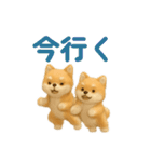 ふわふわ かわいい 柴犬 日常（個別スタンプ：24）