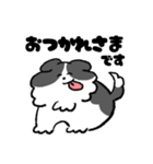 ゆるいボーダーコリーさん（個別スタンプ：9）