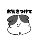 ゆるいボーダーコリーさん（個別スタンプ：14）