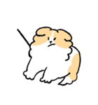 ゆるいボーダーコリーさん（個別スタンプ：31）