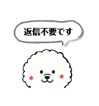 気遣いなビションフリーゼ 便利な日常会話（個別スタンプ：11）