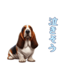 バセットハウンドと一緒の日常2（個別スタンプ：1）