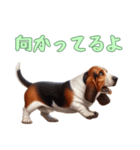 バセットハウンドと一緒の日常2（個別スタンプ：3）